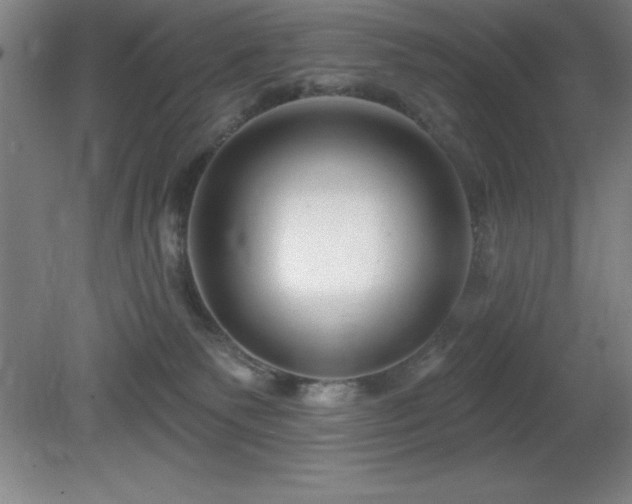 X0000082160135200701191251