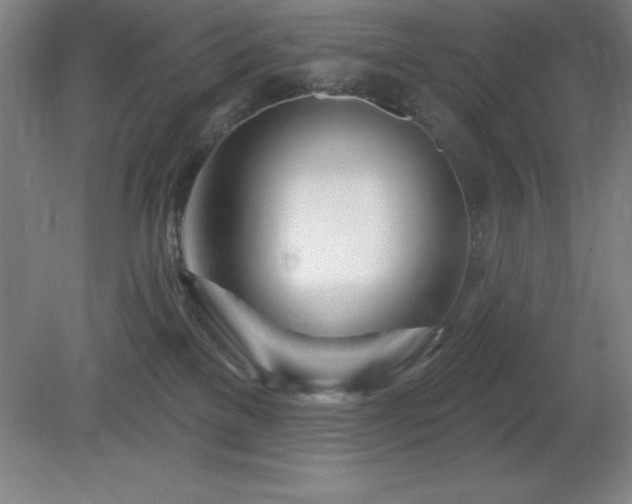 X0000082160137200701191251