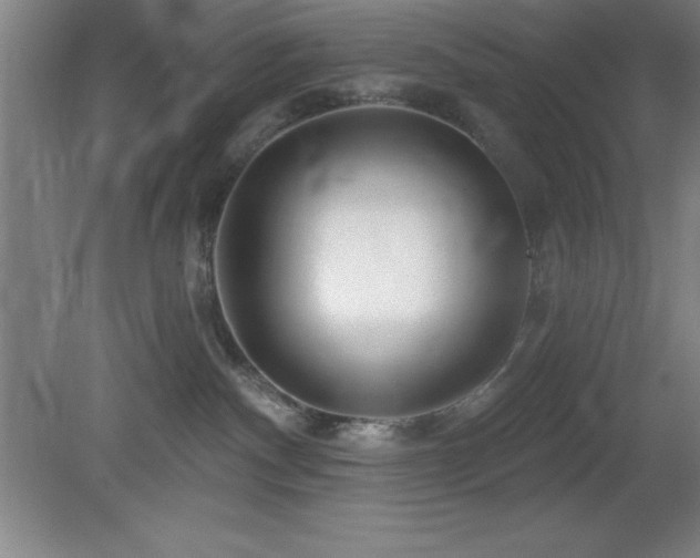 X0000082160140200701191251