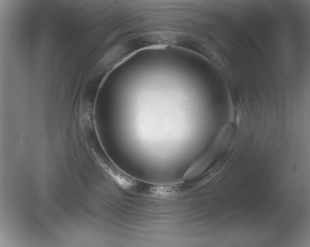 X0000082160141200701191251