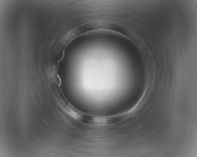 X0000082160144200701191251