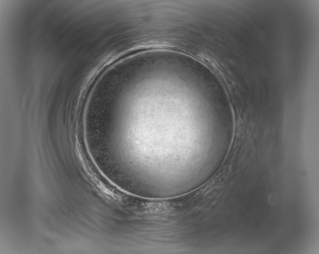 X0000082160145200701191250
