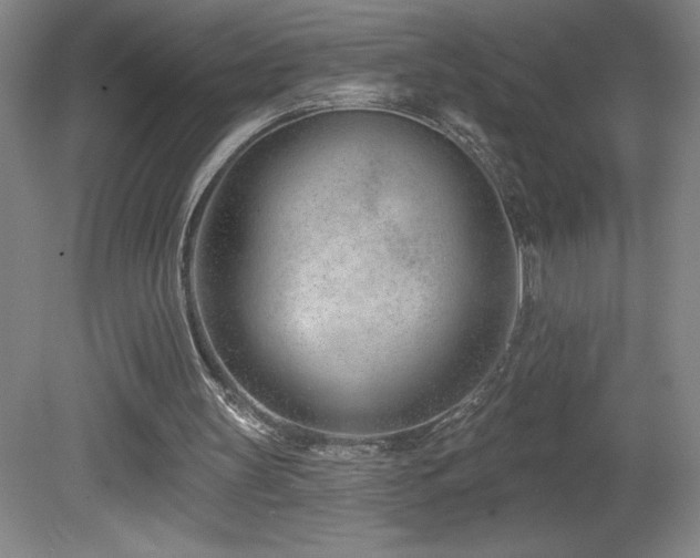 X0000082160147200701191250