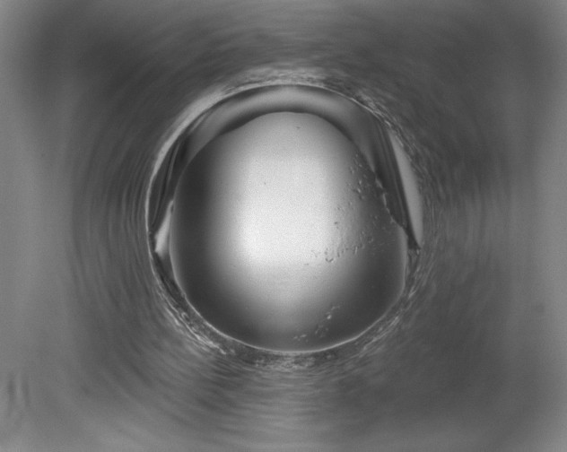 X0000082160148200701191250