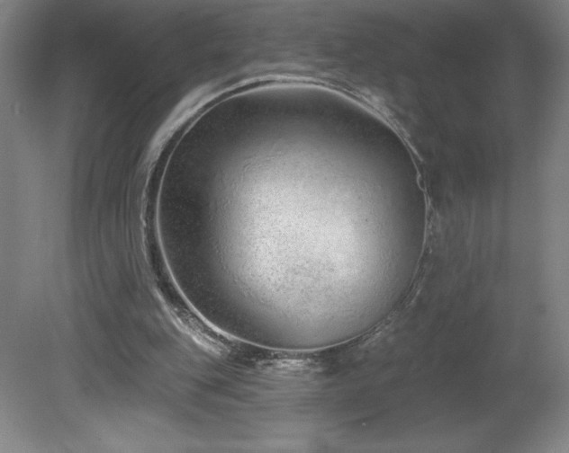 X0000082160151200701191250