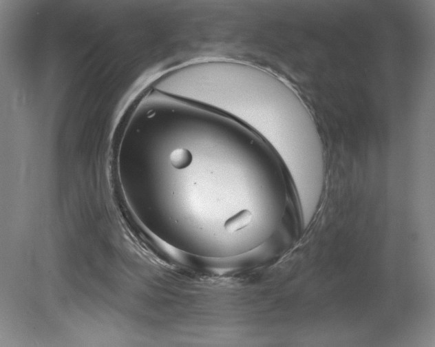 X0000082160152200701191250