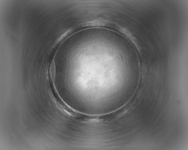 X0000082160153200701191250