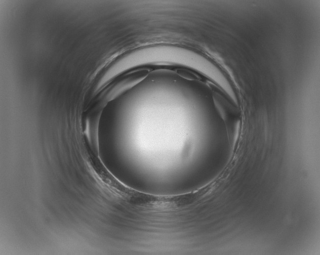 X0000082160154200701191250