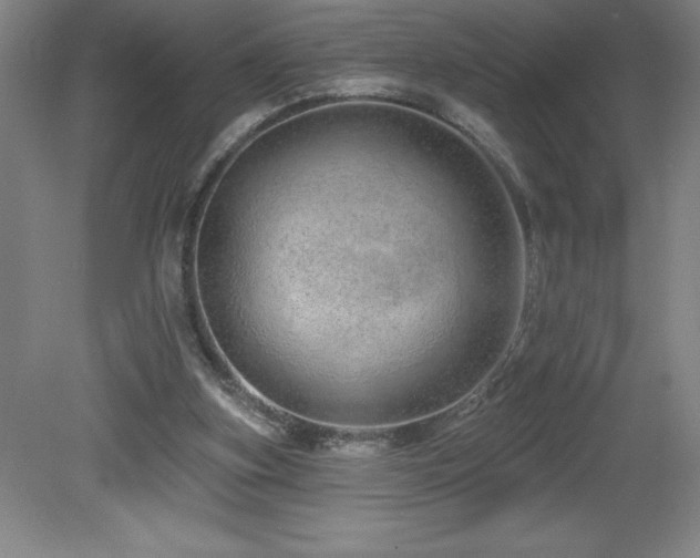 X0000082160155200701191250