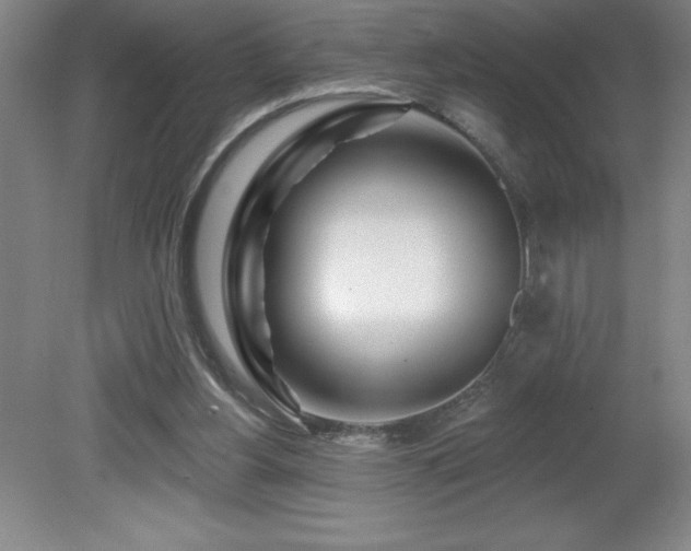 X0000082160156200701191250