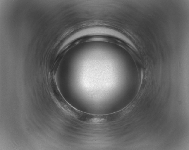 X0000082160158200701191250