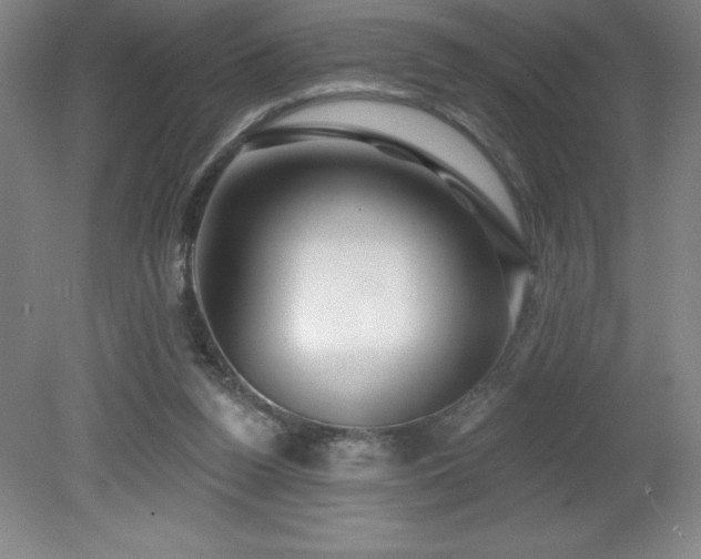 X0000082160160200701191251