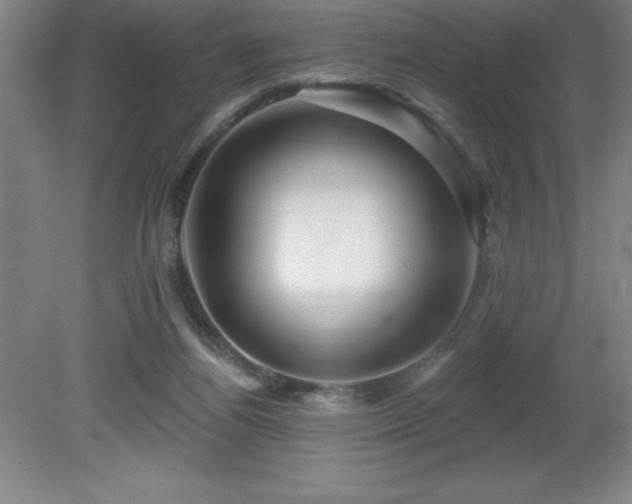 X0000082160164200701191251
