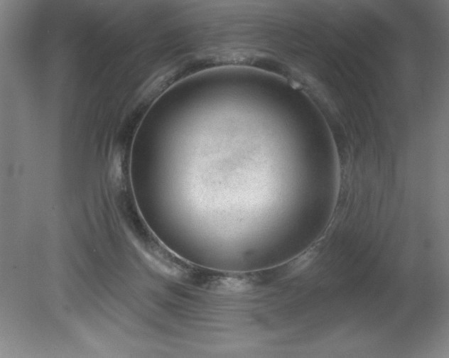 X0000082160166200701191251