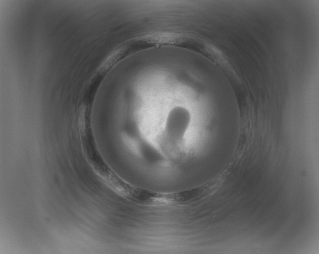 X0000082160167200701191251