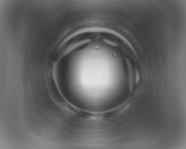 X0000082160168200701191251