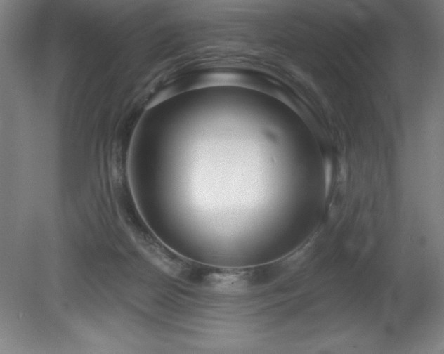 X0000082160170200701191251