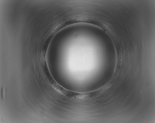 X0000082160172200701191251