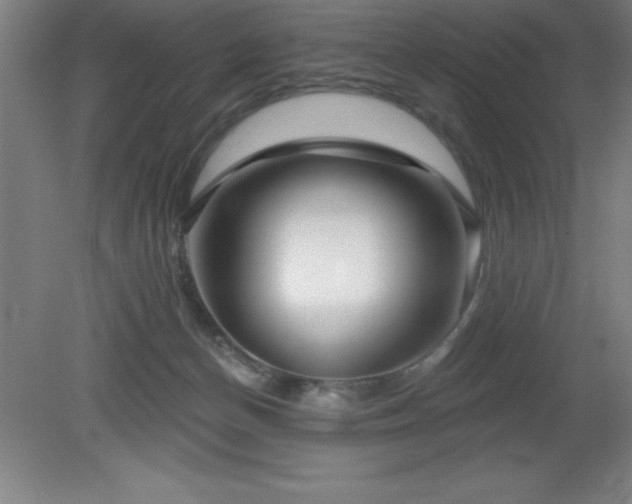 X0000082160174200701191251
