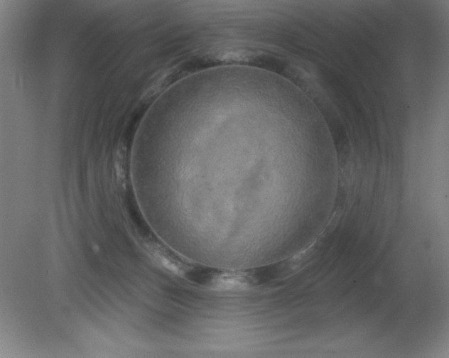 X0000082160175200701191251