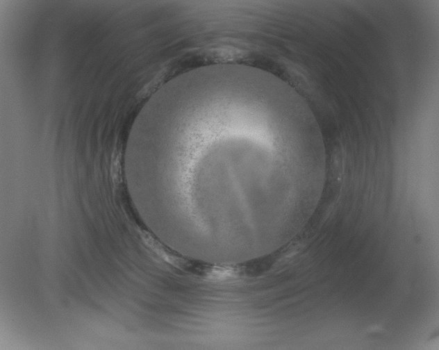 X0000082160177200701191251