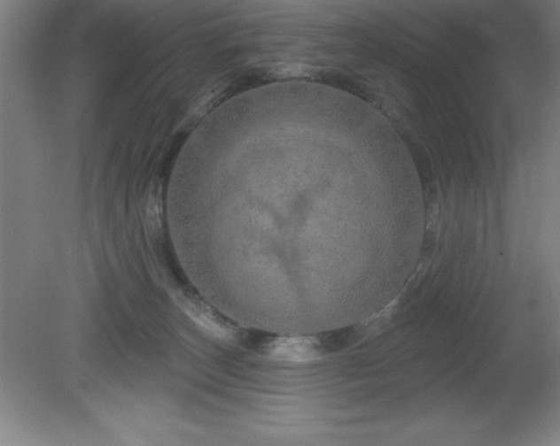 X0000082160179200701191251