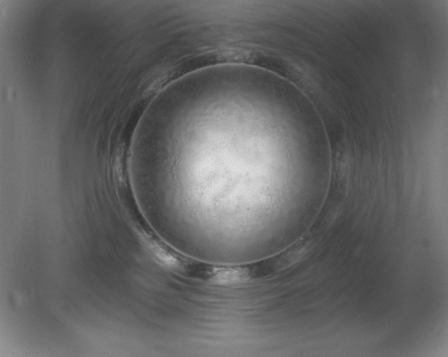X0000082160185200701191251