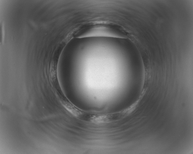 X0000082160186200701191251