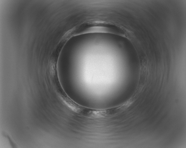 X0000082160188200701191251
