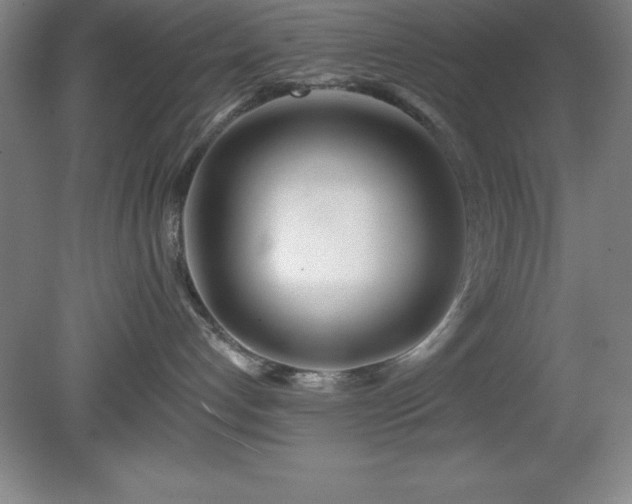 X0000082160192200701191251