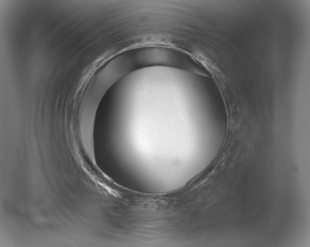 X0000082160193200701191250