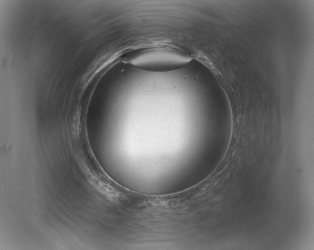 X0000082160194200701191250