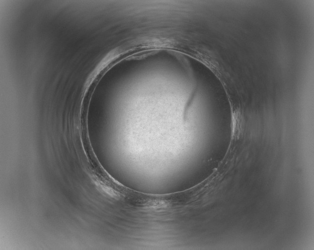 X0000082160195200701191250