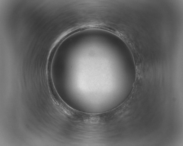 X0000082160196200701191250