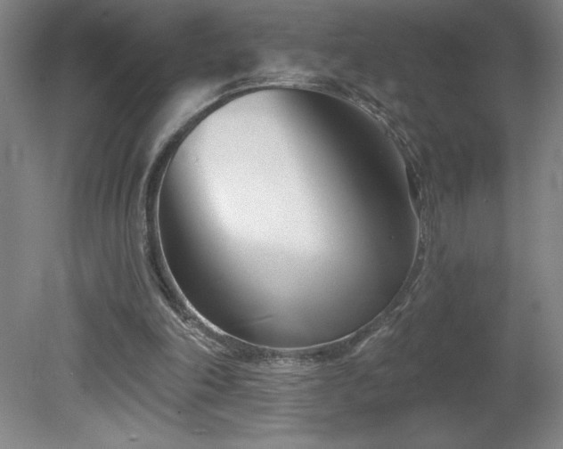 X0000082160198200701191250