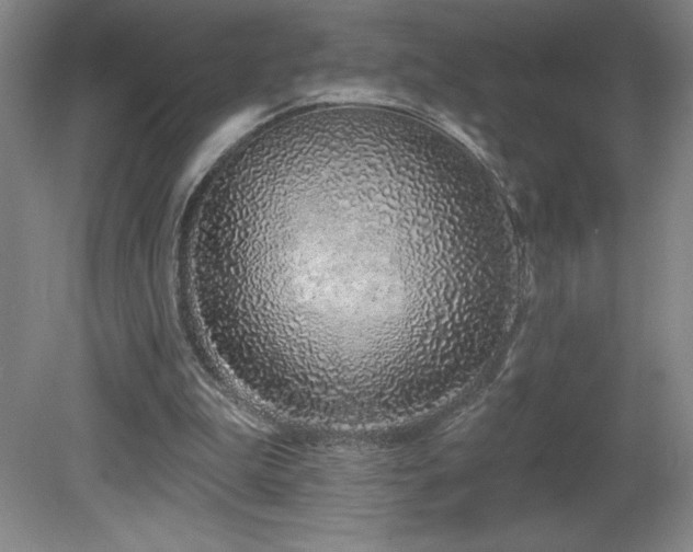 X0000082160199200701191250