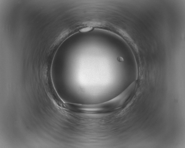 X0000082160201200701191250