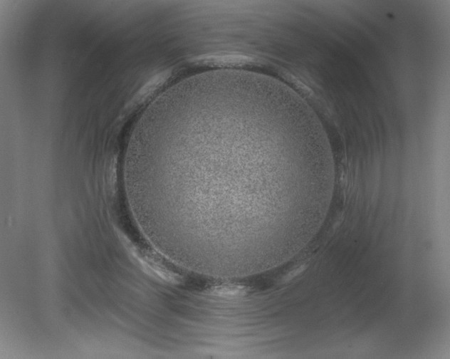 X0000082160206200701191250