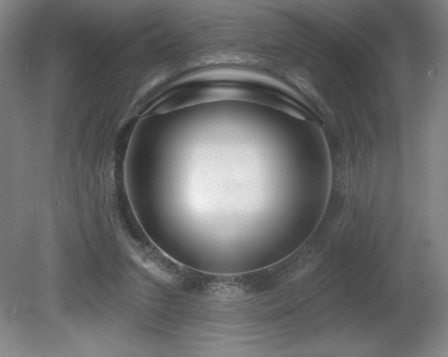 X0000082160207200701191250