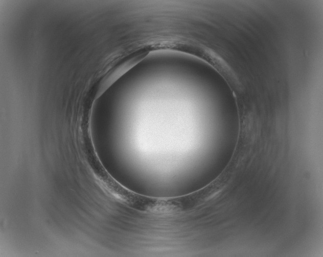 X0000082160209200701191250