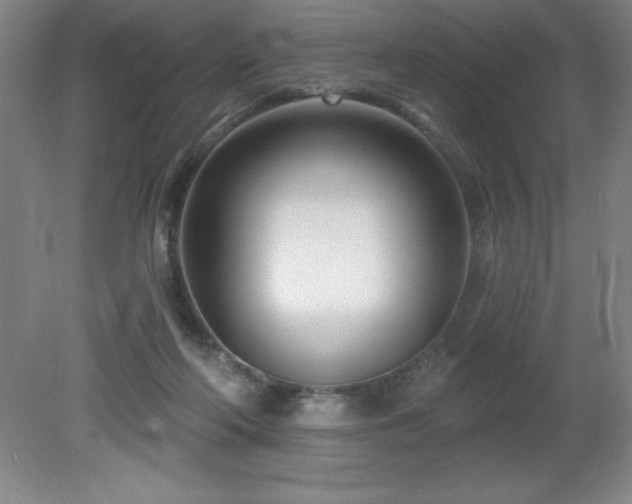 X0000082160214200701191250