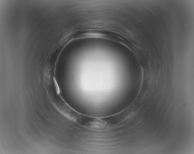 X0000082160215200701191250