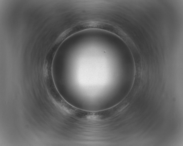 X0000082160216200701191250