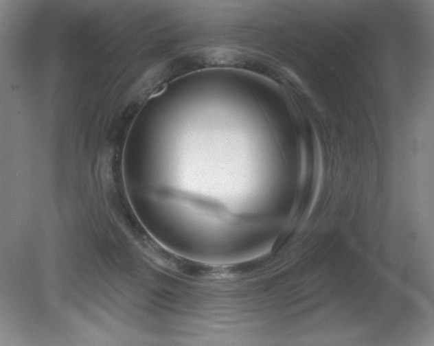 X0000082160217200701191250