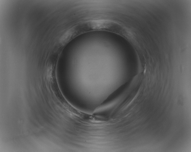 X0000082160219200701191250