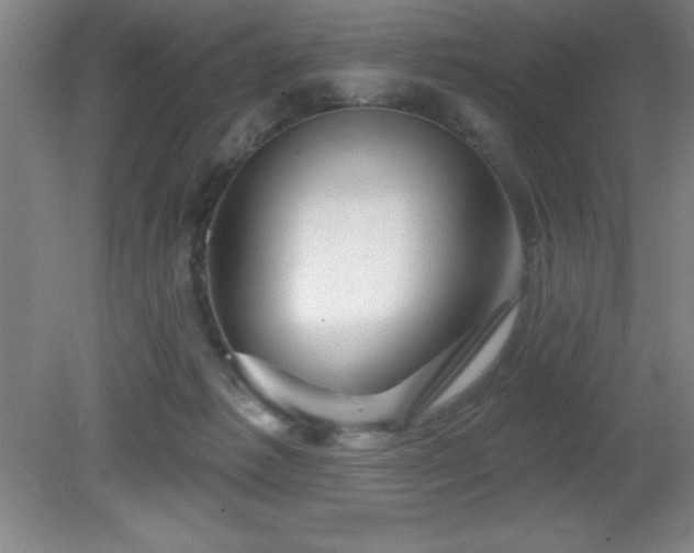 X0000082160221200701191250