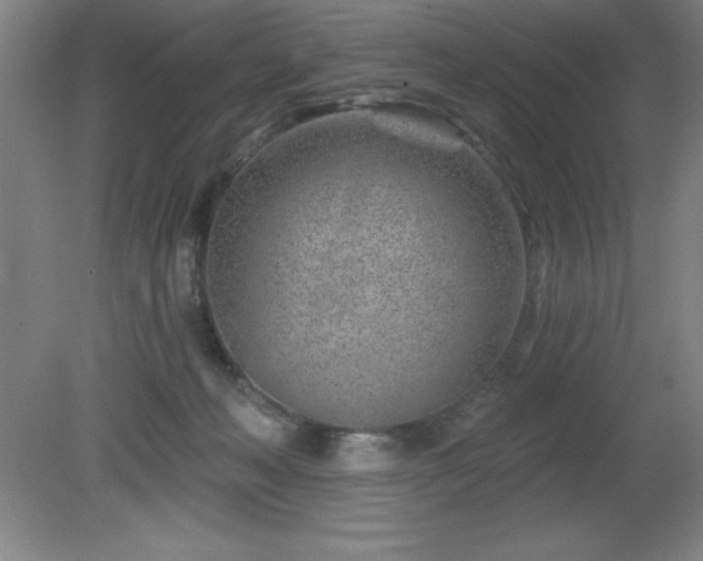X0000082160222200701191250