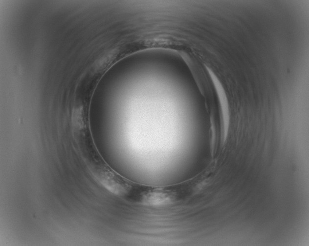 X0000082160224200701191250