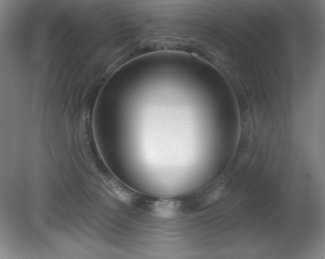 X0000082160225200701191250