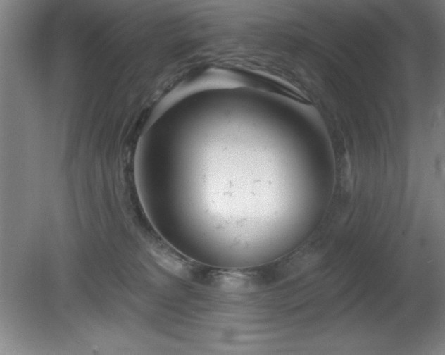 X0000082160229200701191250